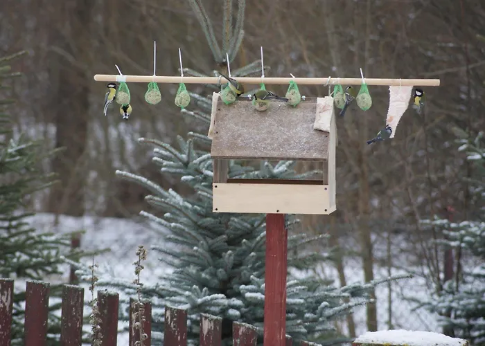 Helena Hotel Giżycko